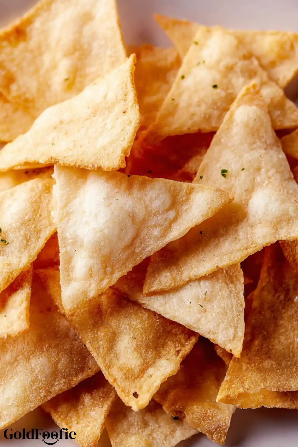 Keto Tortilla Chips No Cheese Recipe 5 Keto tortilla chips close-up with toasted edges