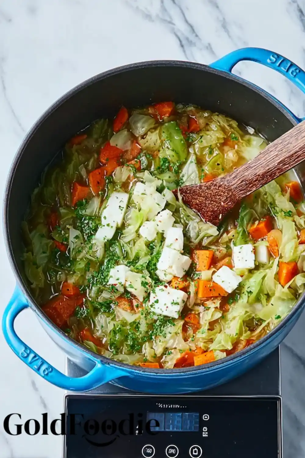 cabbage-fat-burning-soup-with-protein-variation Cabbage Fat Burning Soup being topped