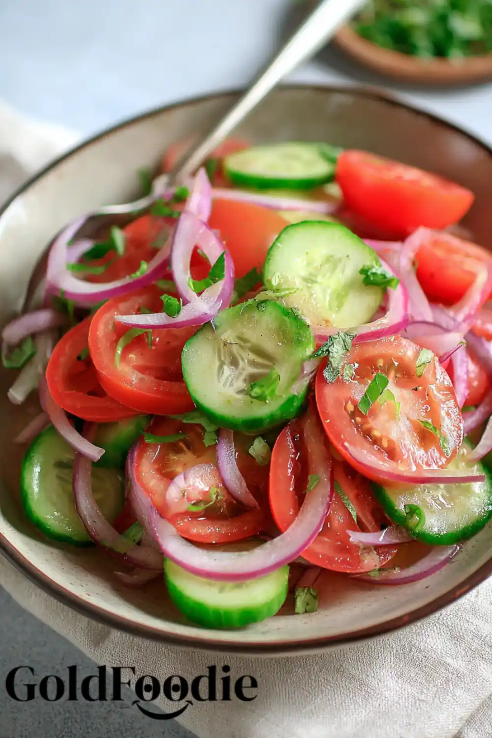 Cucumber Tomato Onion Salad