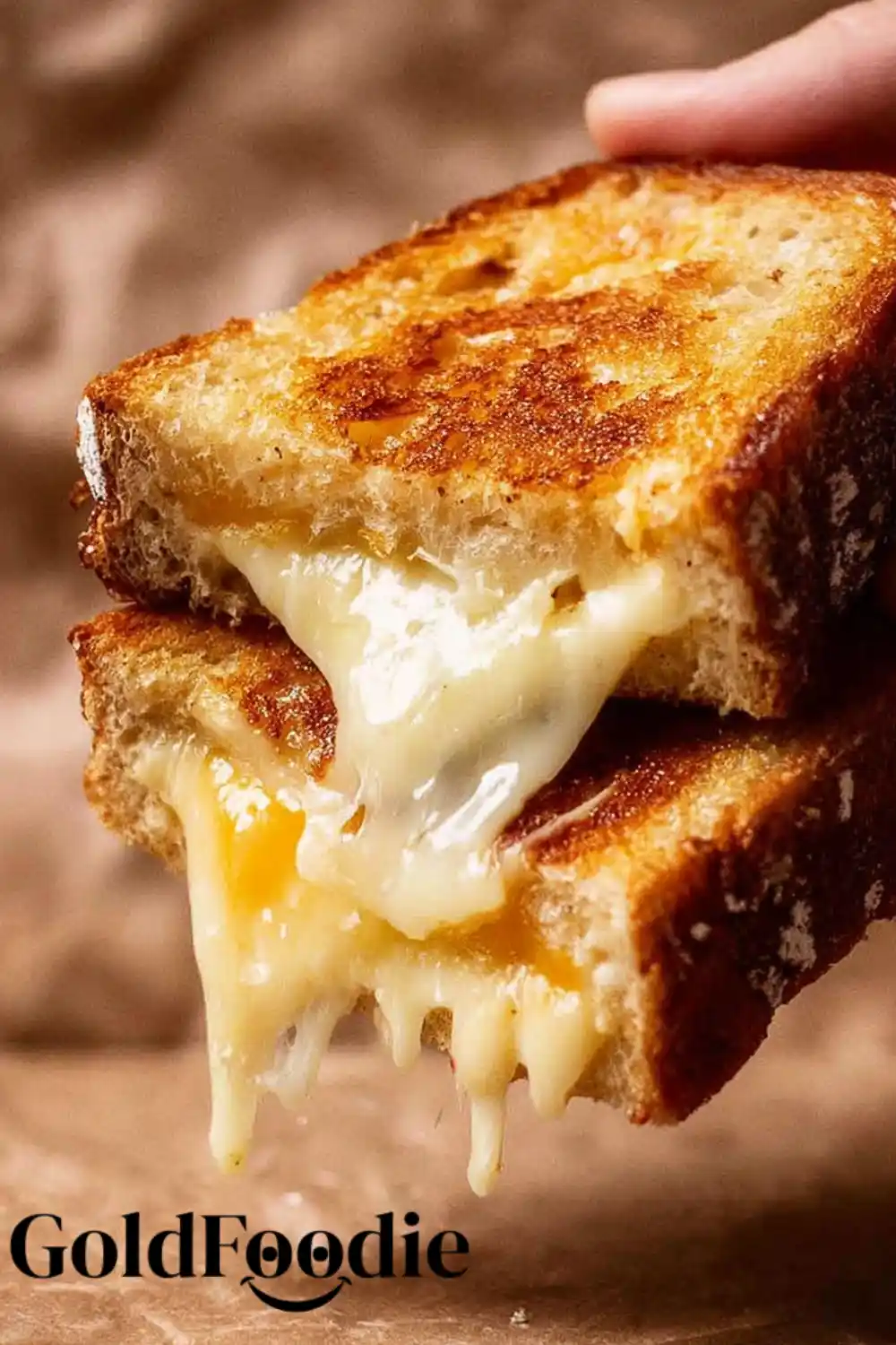 Gooey Melted Cheese Drip