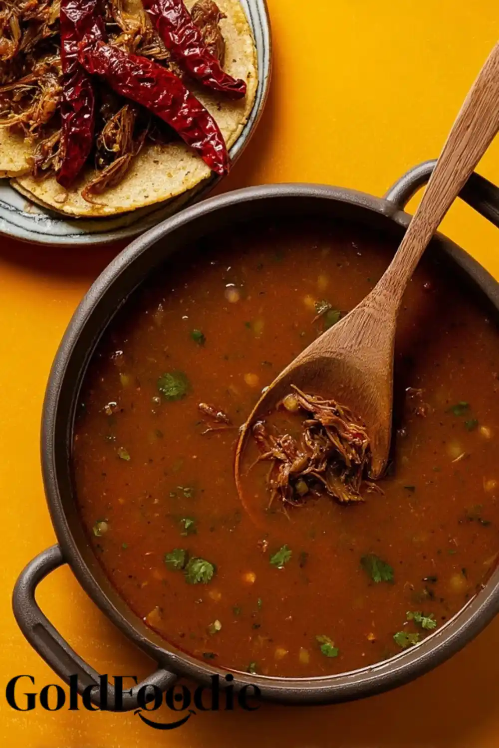 Rich Birria Consommé and Shredded Beef
