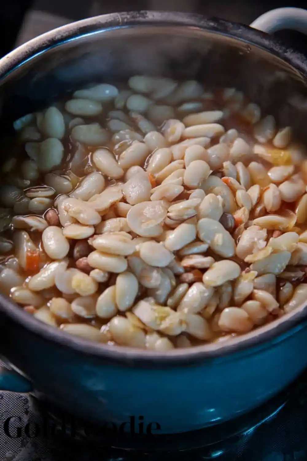 Old-Fashioned Ham and Bean Soup