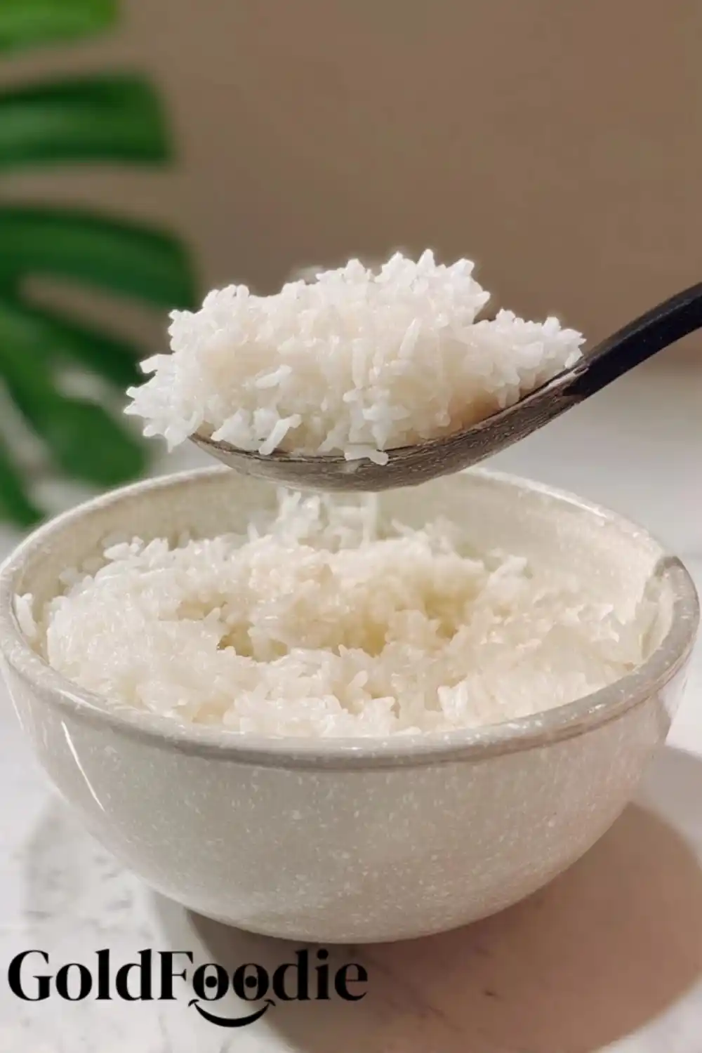 Simple Cooked White Rice Simple Cooked White Rice