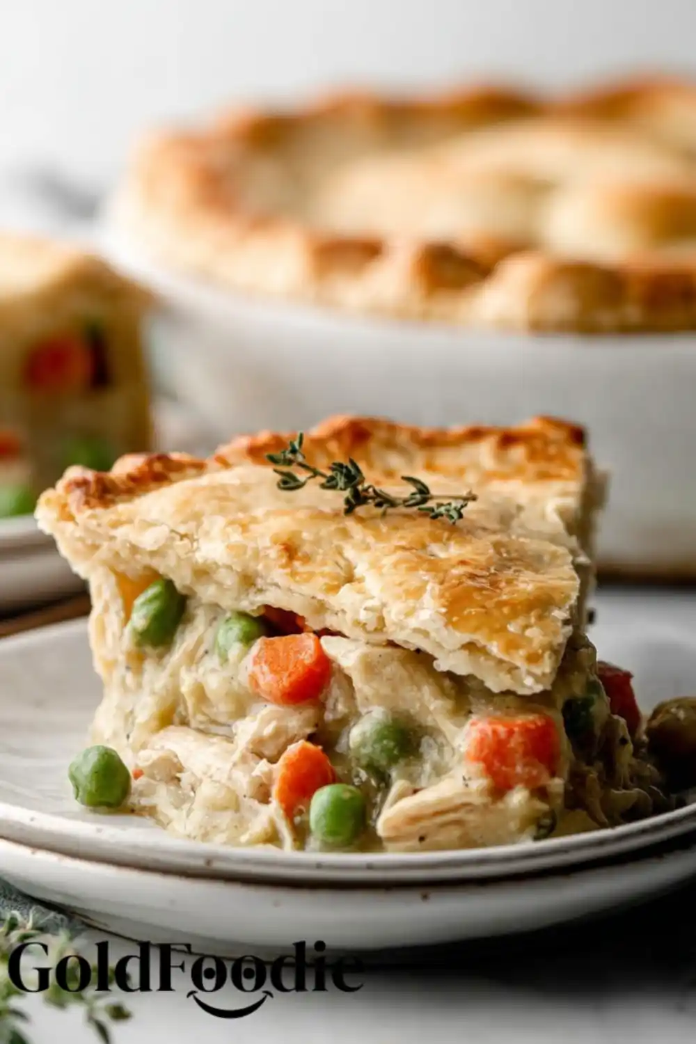 Thick and Hearty Double Crust Chicken Pot Pie
