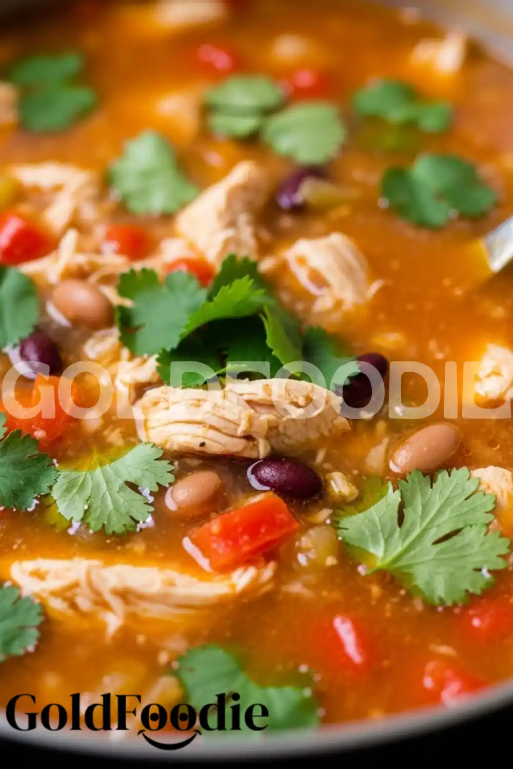 Authentic Buffalo Chicken Tortilla Soup Texture Authentic Buffalo Chicken Tortilla Soup Texture