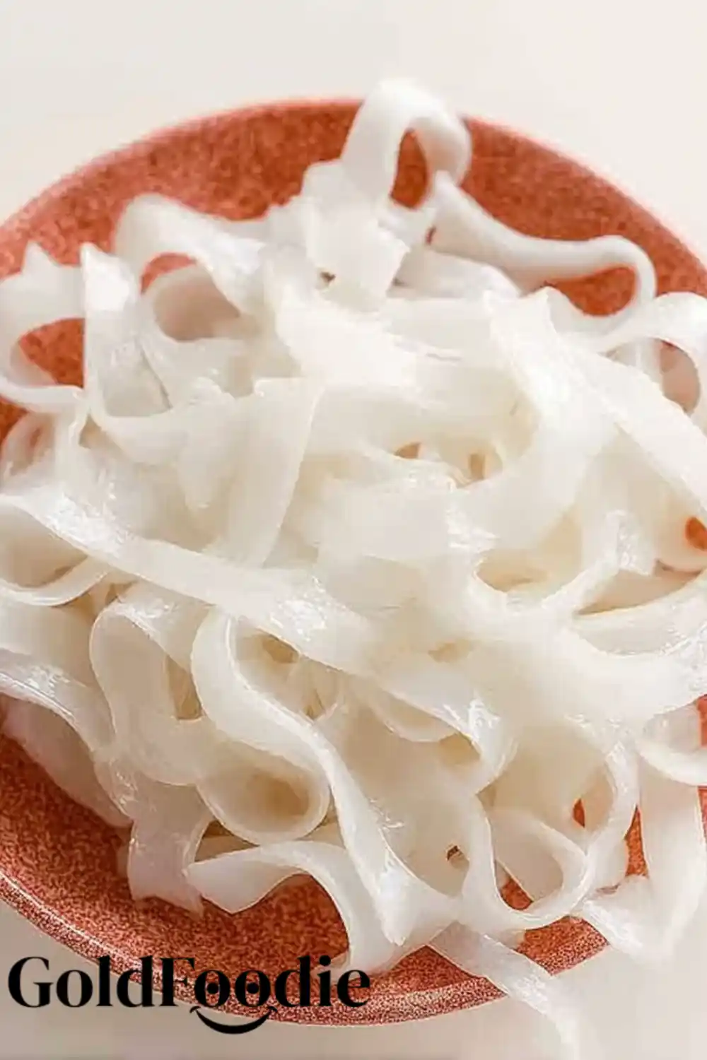 Fresh Wide Flat Rice Noodles Fresh Wide Flat Rice Noodles