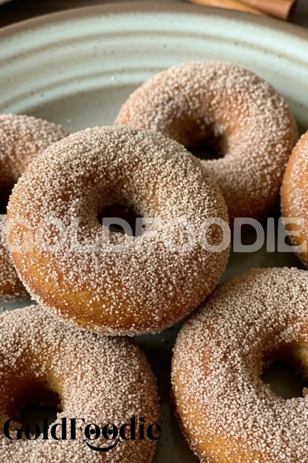 Inside Texture of Apple Cider Donut Inside Texture of Apple Cider Donut