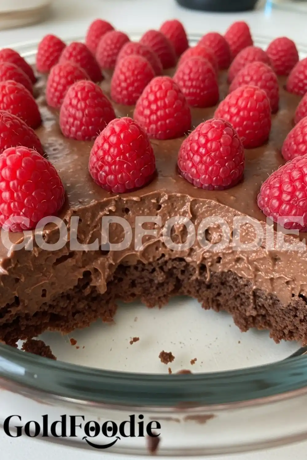 Raspberry Chocolate Gelatin Texture Close Up